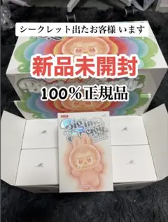 【正規品・未開封】 Labubu Big into Energy 1 箱