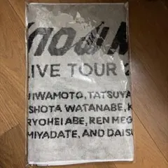SnowMan LIVE TOUR 2022 Labo. タオル スノラボ