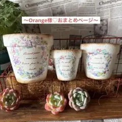 Orange様 リクエスト 2点 まとめ商品