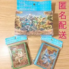ポケモン ダブルデッキケース シールド リーフィア グレイシア プレゼント v