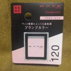 KATE アイカラー M120 パウダリーピンク