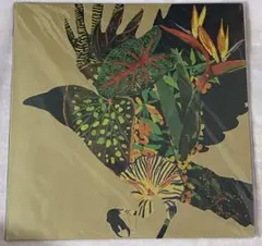 h様 SALU - IN MY SHOES [4LP] 日本語ラップ レコー - メルカリ