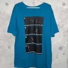NIKE AIR JORDAN グラフィック　Tシャツ　極美品　Lサイズ