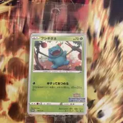 フシギダネ：Pokémon Trading Card Game イラスト　未開封