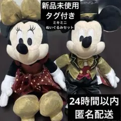 ディズニーストア リニューアル 25周年 ぬいぐるみ ミッキー ミニー