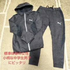 PUMA ジャージ上下セット グレー