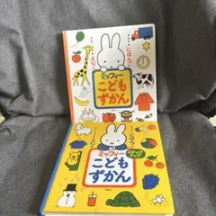 ミッフィー こどもずかん 2冊セット