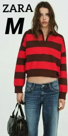 ZARA ボーダー柄ポロニットセーター