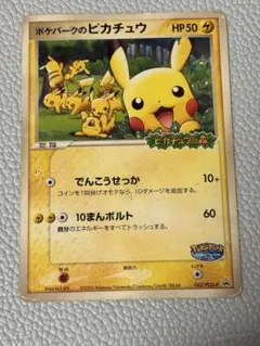 真*珠様 ポケパークのピカチュウ PROMO PCG-Pプロモカード 043/P
