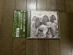 S.O.A.P. S.S.J.B.F. in 武道館 LIVE DVD V系