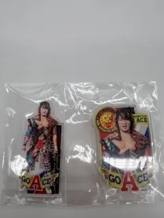 2025年最新】棚橋弘至 アクスタの人気アイテム - メルカリ