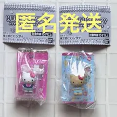 HELLO KITTY パッケージミニチュアコレクション　2体セット