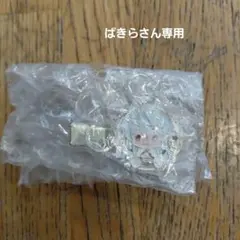 【ぱきらさん専用】カラフルピーチ　メタルヘアクリップ　どぬく