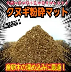 下部T虫マット62：発酵熟成竹・成虫・産卵・幼虫飼育用：100ℓ - メルカリ