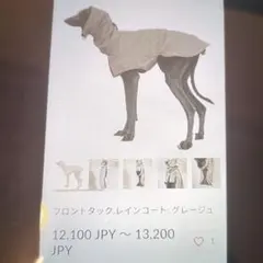 2026年最新】ushh イタグレの人気アイテム - メルカリ