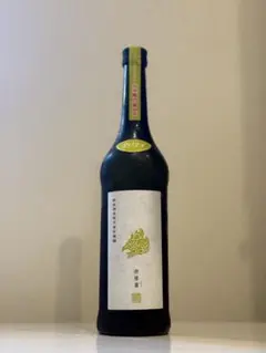 新政 迦楼羅のサムネイル