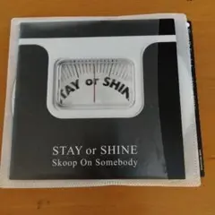 STAY or SHINE