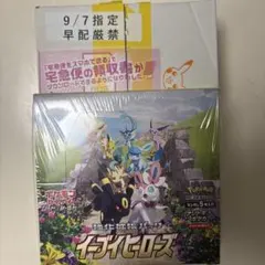 2025年最新】イーブイヒーローズbox シュリンク付きの人気アイテム