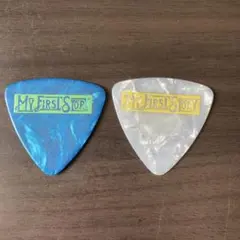 MY FIRST STORY ピック（TERU.NOBU) グローバーオールマン ピック NOB My First Story GA-NOB アーティスト