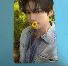 zb1 ヨントン トレカ ハンビン