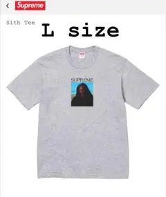 Supreme Sith Tee グレー Lサイズ 新品 supreme Sith Tee L tシャツ - メルカリ