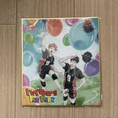 ハイキュー fanpark 入場特典 色紙