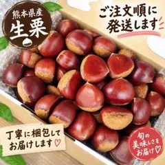 熊本県産 利平栗 2キロ大粒 秋の味覚