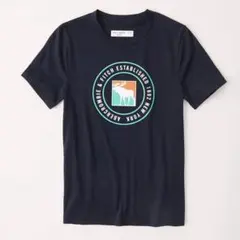 アバクロ グラフィック Tシャツ