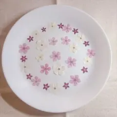 押し花　フェアリースター30枚入り｜ハンドメイド素材 レジン ネイル【001】