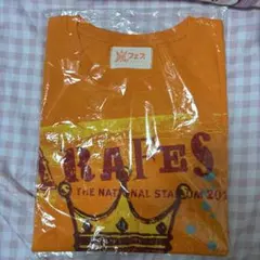 嵐フェス 2013 Tシャツ オレンジ