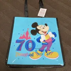 【新品タグ付】カリフォルニアDisneyland 70周年限定デザインエコバックのサムネイル