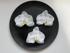 【前撮り・和装】胡蝶蘭 髪飾り 3個セット｜成人式・白無垢・色打掛　結婚式