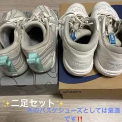 ✨二足セット✨ASICSGELHOOP15& JORDANテイタムIIIバッシュ