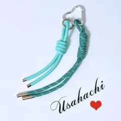 じゃらじゃらキーホルダー　バッグチャーム　キーチャーム　パラコード　犬　38H