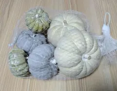 本日のタイムセール‼️　パンプキン　アソートMIX　オブジェ　6個入　かぼちゃ