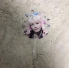 SEVENTEEN ジョンハン 透明うちわ