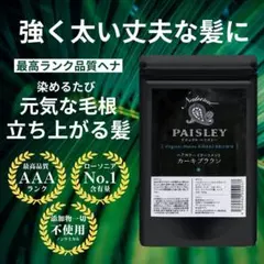 オーガニックヘナ【最高AAAランク高品質ヘナ】ヘナ白髪染め オレンジ