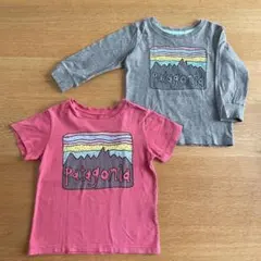 パタゴニア　キッズ　Tシャツ2枚セット