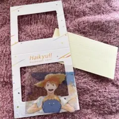 ハイキュー‼︎　日向翔陽