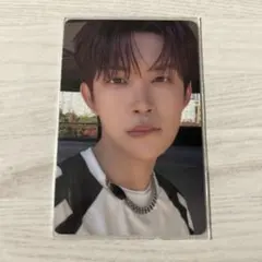 ALD1 ゴヌ　トレカ　Pluschat特典