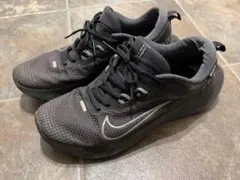 Item thumbnail for item 257eca6f-178e-41c1-85ca-e051d2e1e619