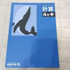 2026年最新】四谷大塚 予習シリーズ 4年の人気アイテム - メルカリ