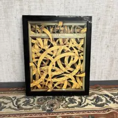 Item thumbnail for item 10d3135b-8e1c-4101-89d4-20e3626b3e17