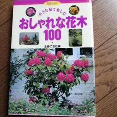 Item thumbnail for item d7d3b1ec-3753-4185-897e-0904a17c893e