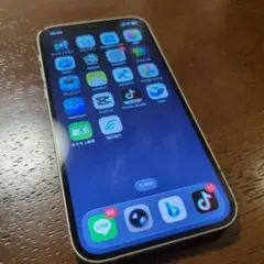 Apple iPhone12本体