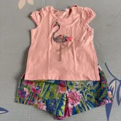 familiar フラミンゴTシャツとショーツ 90 80