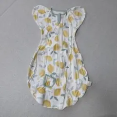 Item thumbnail for item 235b4220-fd09-4202-80fc-17bb2cfd5f64