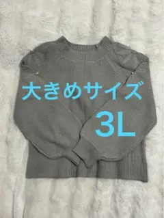 【ベルーナAlotta】お花刺しゅうふんわりニット 大きめサイズ 3Lのサムネイル
