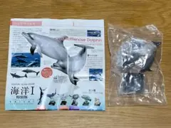 ★値引中★【ハンドウイルカ】NTC 海洋Ⅰ 特装版