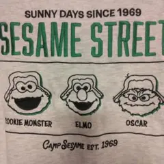 SESAME STREET 刺繍 Tシャツ グレー L 新品　CAMP
